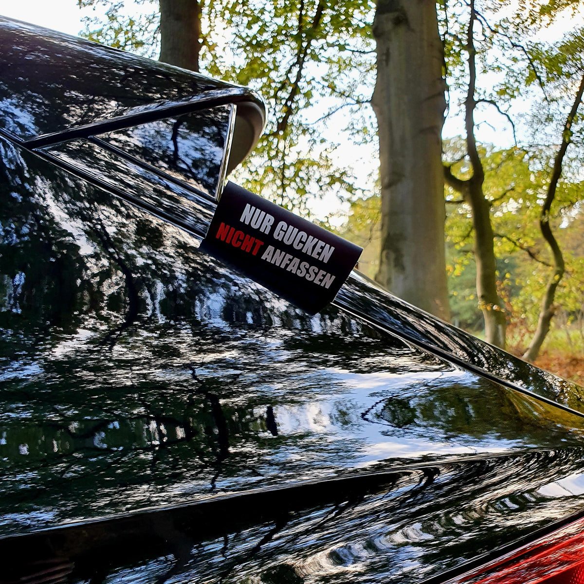 Don't Lick the Paint! Just Look, Don't Touch! Carflag – image 2